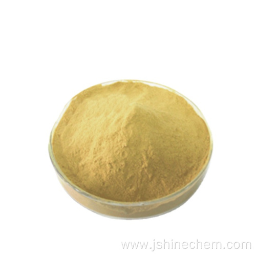 Yeast Extract Powder Yeast
